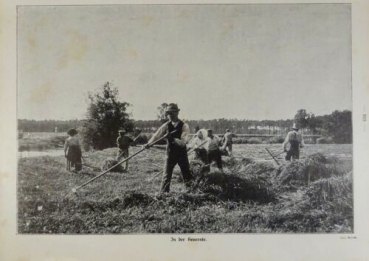 1917 - alter Druck - In der Heuernte